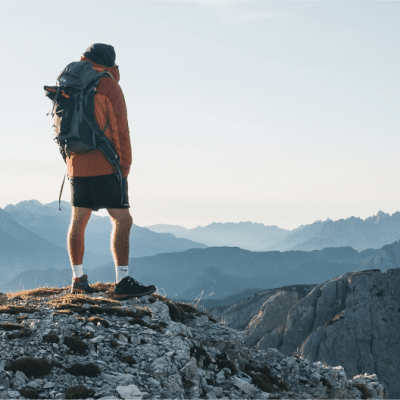 the lone traveller takes in the view